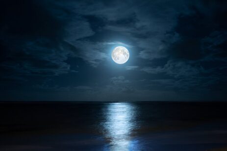 A Moonlit Night