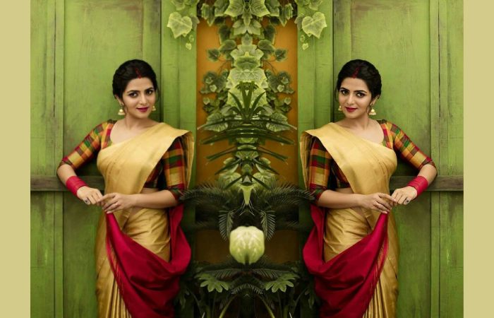 Kerala Saree With Checkered Blouse