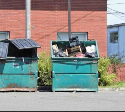 Dumpster Rental Aurora CO For Home Renovations