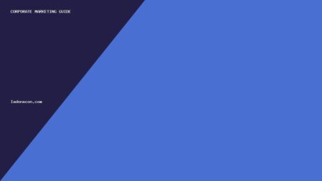 iadonecon.com